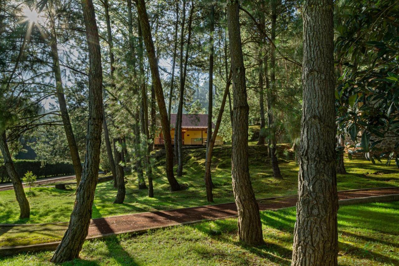 Hotel Bosque Escondido Mazamitla Esterno foto